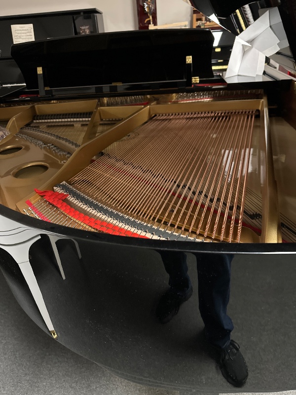 Additional image for Kawai GL20